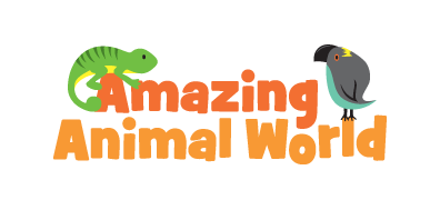 Amazing Animal World - Prepare to be Amazed!